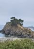 PICTURES/Port Ordford - Battle Rock Wayside Park/t_20260917_125120.jpg